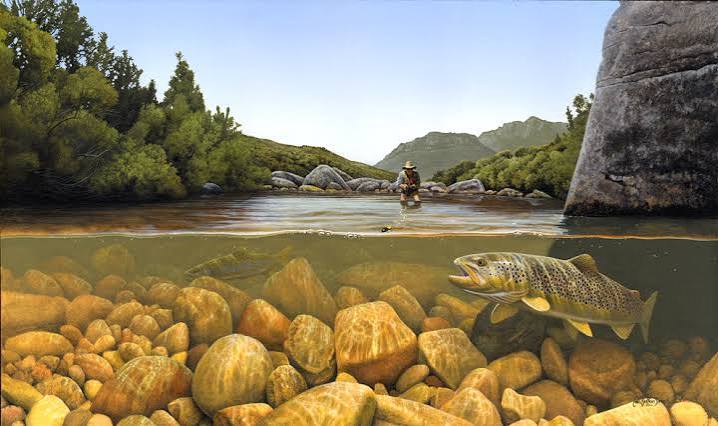 Cape Trout Rivers