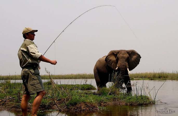 Fly fishing