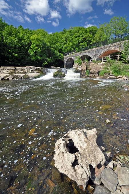 Tarka River & Mountain Streams