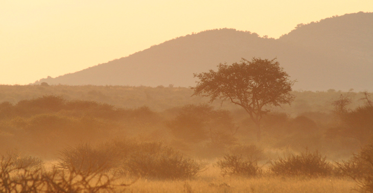Makanyane Safari Lodge — North West luxury safari lodge