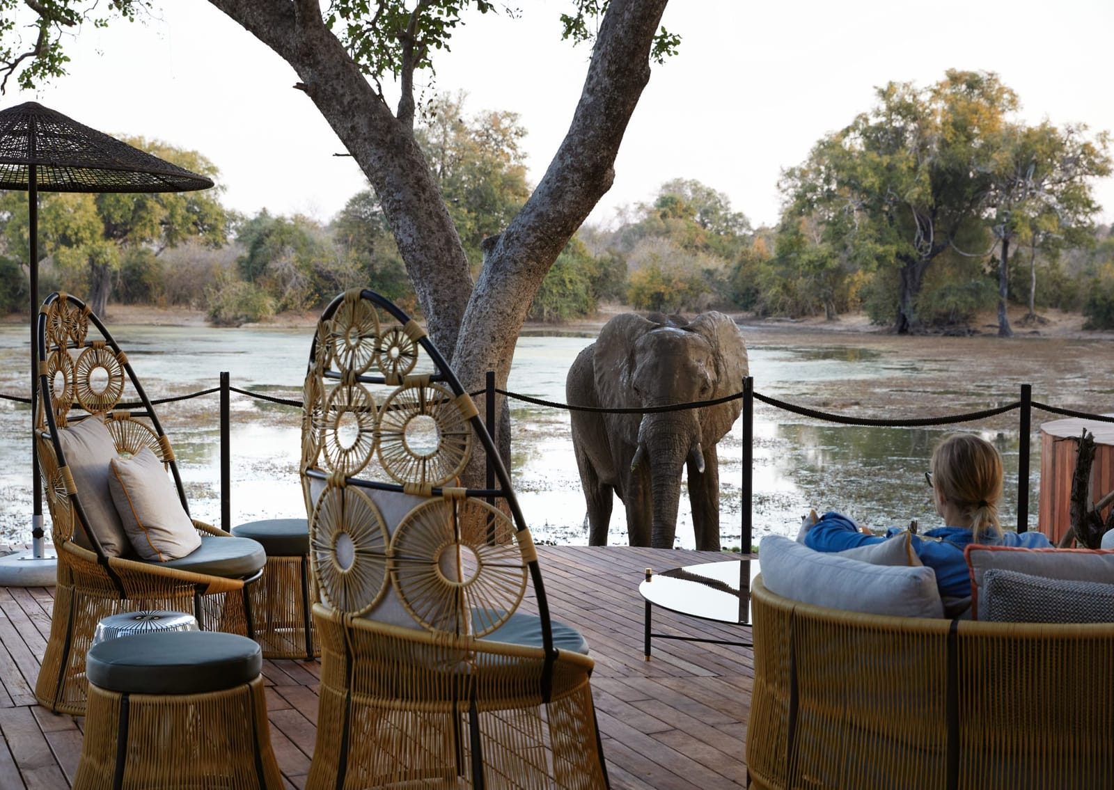 Molori Mashuma — Zimbabwe luxury safari lodge