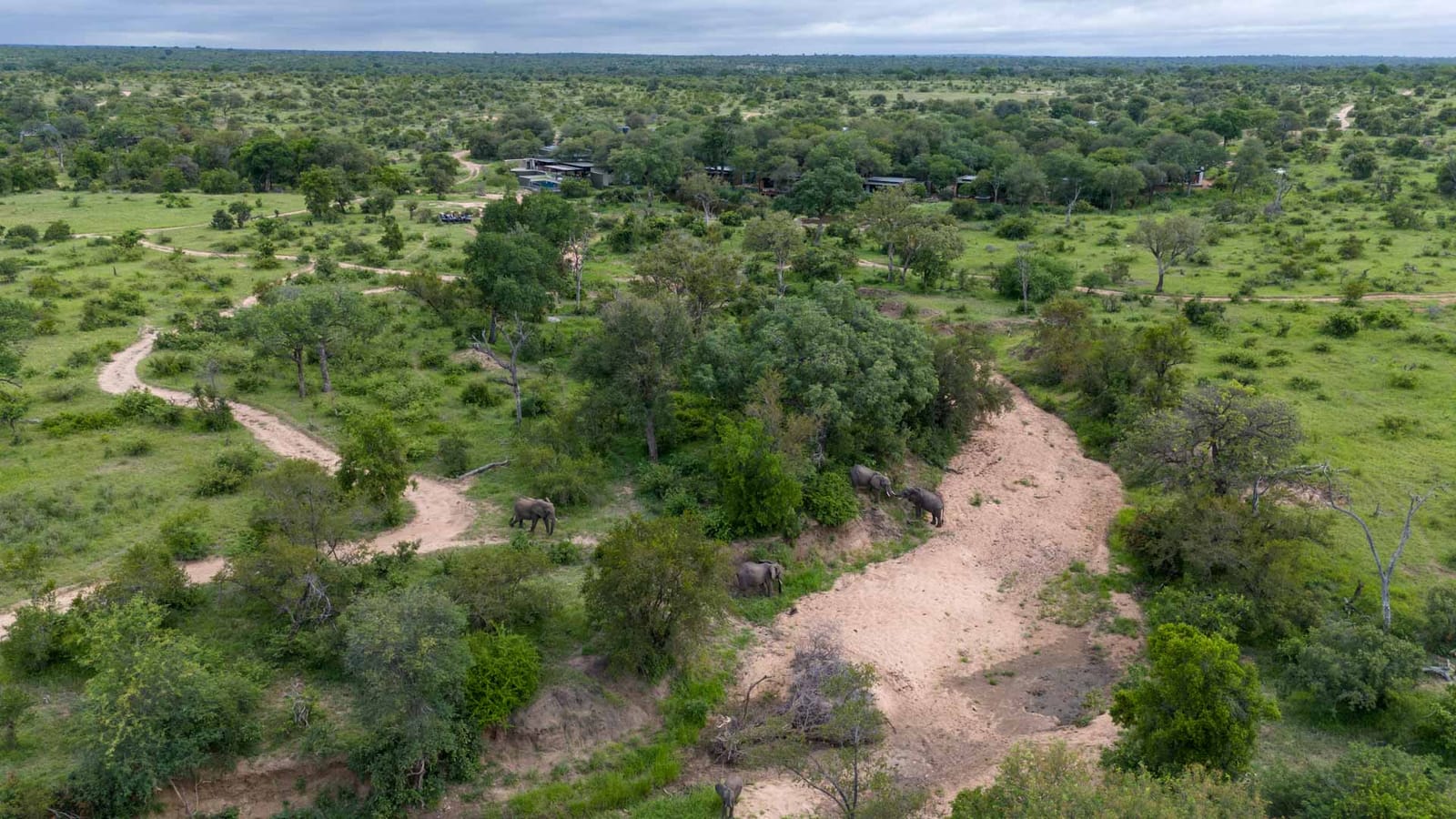 RockFig Safari Lodge — lodge exterior and grounds