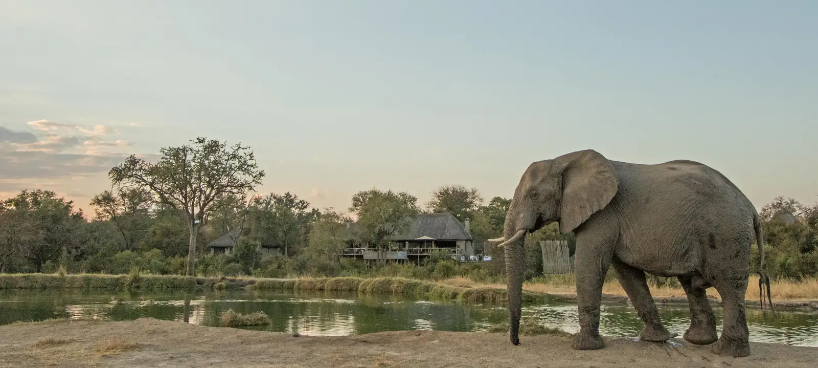 Simbambili Game Lodge — lodge exterior and grounds