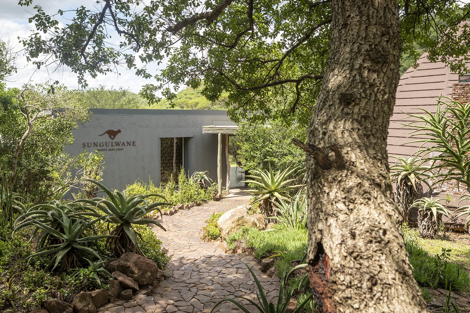 Sungulwane Private Game Lodge — suite and interior